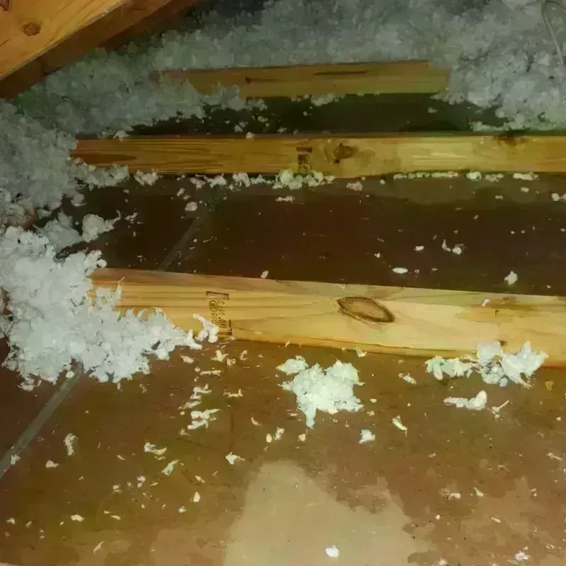 Attic Water Damage in Tippecanoe County, IN