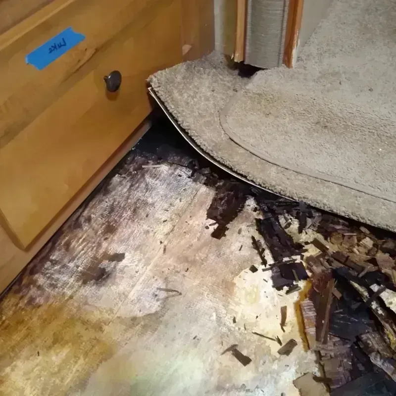 Best Wood Floor Water Damage Service in Tippecanoe County, IN